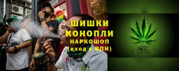гидра Верея