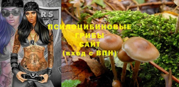 гидра Верея
