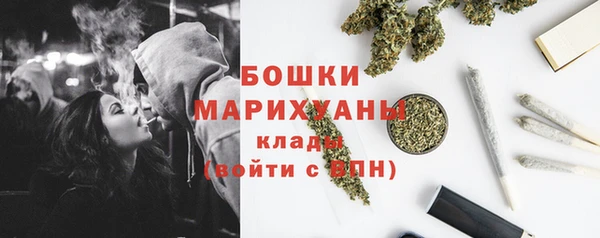 соль ск Верхний Тагил