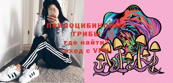 прущие грибы Волоколамск