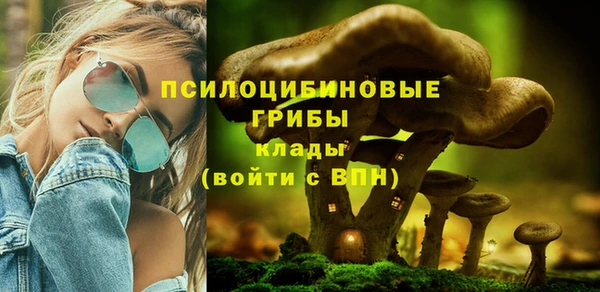 соль ск Верхний Тагил