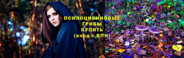 соль ск Верхний Тагил