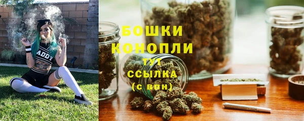 гидра Верея