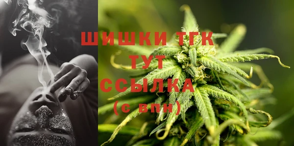 гидра Верея