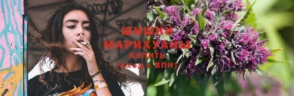 соль ск Верхний Тагил